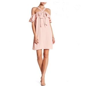 NWT Jay Godfrey Broda Pink Mini Dress